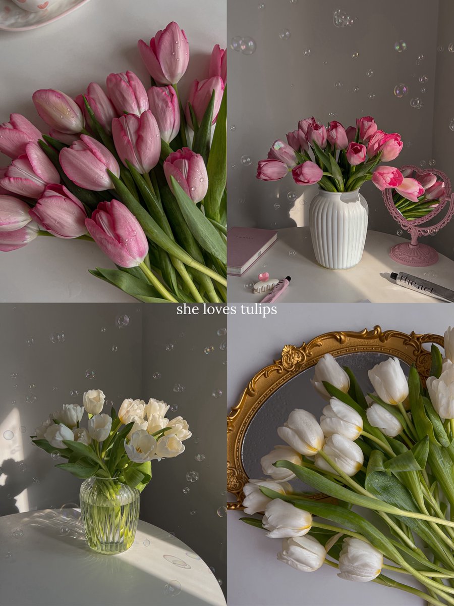 Only Tulips tweet media