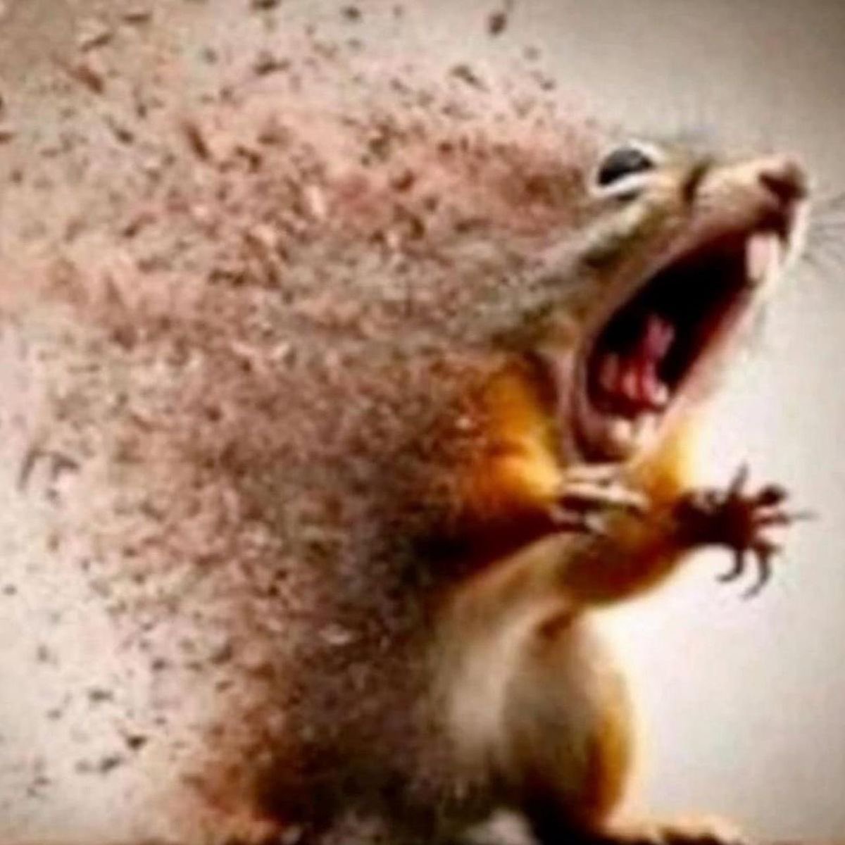 Flash.Trade | Perps on Solana tweet media