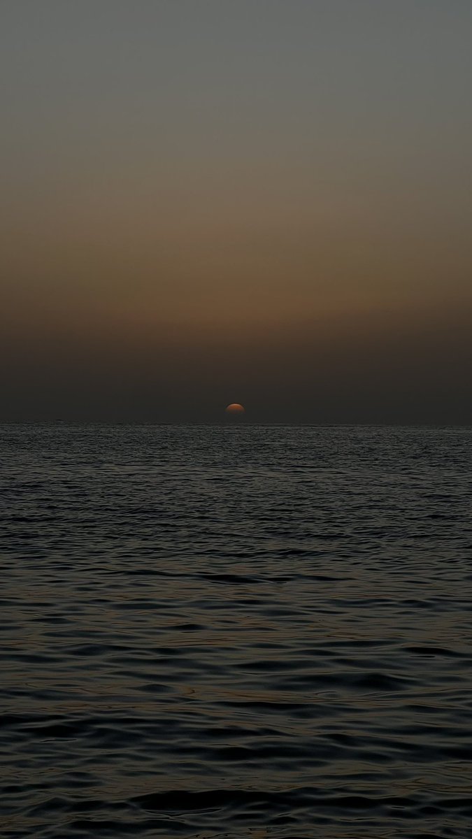 𝘈𝘭𝘢𝘯𝘰𝘶𝘥 (@lu_oud) on Twitter photo 
