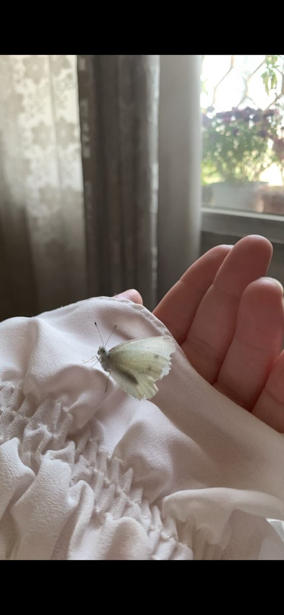  𝓗𝓔𝓑𝓐 tweet media