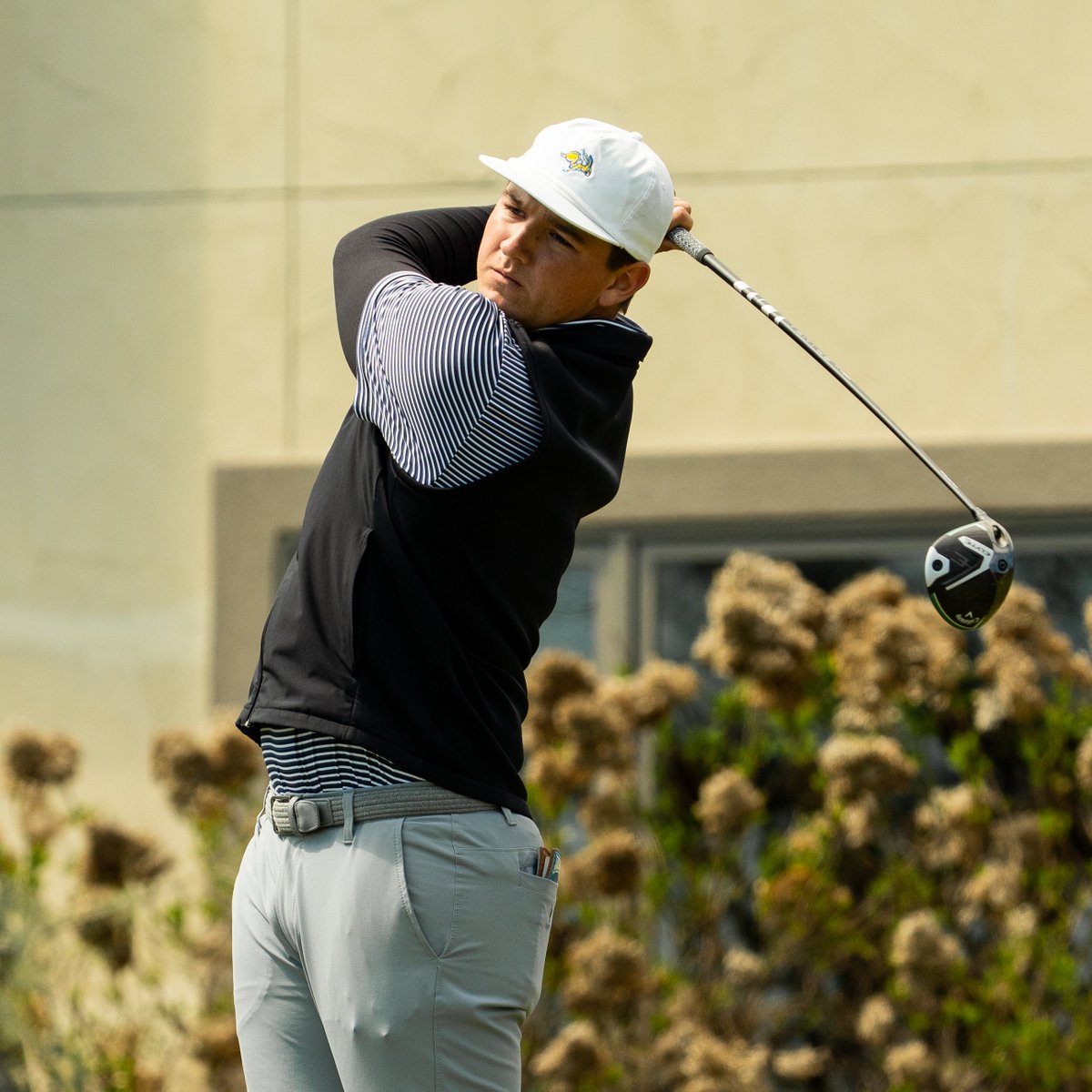 Jackrabbit Men's Golf tweet media