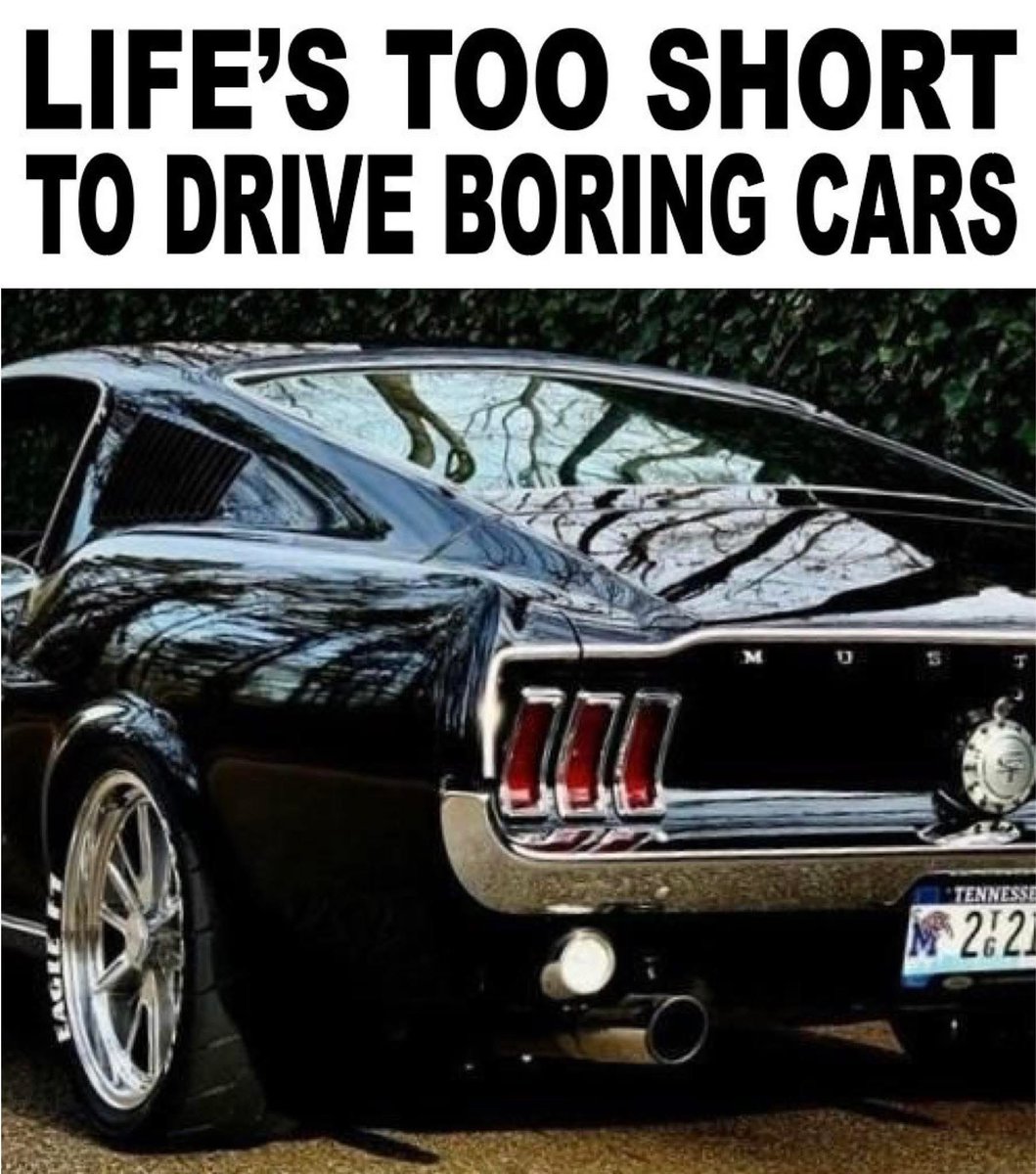 Jim68539825's tweet image. #lifeistooshortshots #ford #mustang #carculture #vintagecars

1967 Ford Mustang Fastback