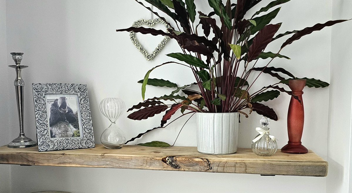 LakesFurniture's tweet image. Chunky Floating Wooden Shelf | Reclaimed Industrial Bookshelf tuppu.net/eae26424 #greetingscard #Photography #shelving #birthday #housewarming #chocolate #rusticfurniture #handmadefurniture #lakedistrict #homeoffice #IndustrialShelf