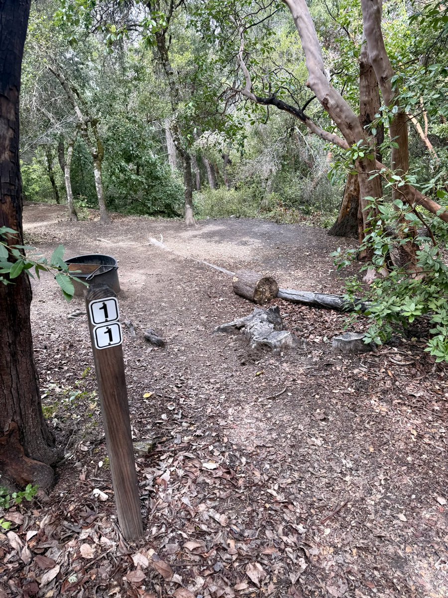 riiothewolf's tweet photo. Some 24ish years ago I pitched a tent here on my first overnight backpacking trip. The tree I remember peeing on in the middle of the night is much bigger now. The nostalgia was real. https://t.co/MwNZrml5AC