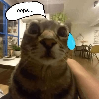 Punch Cat tweet media