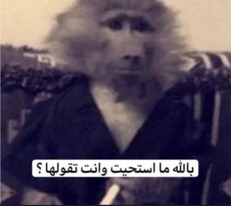 M7seno7 𝕏 tweet media