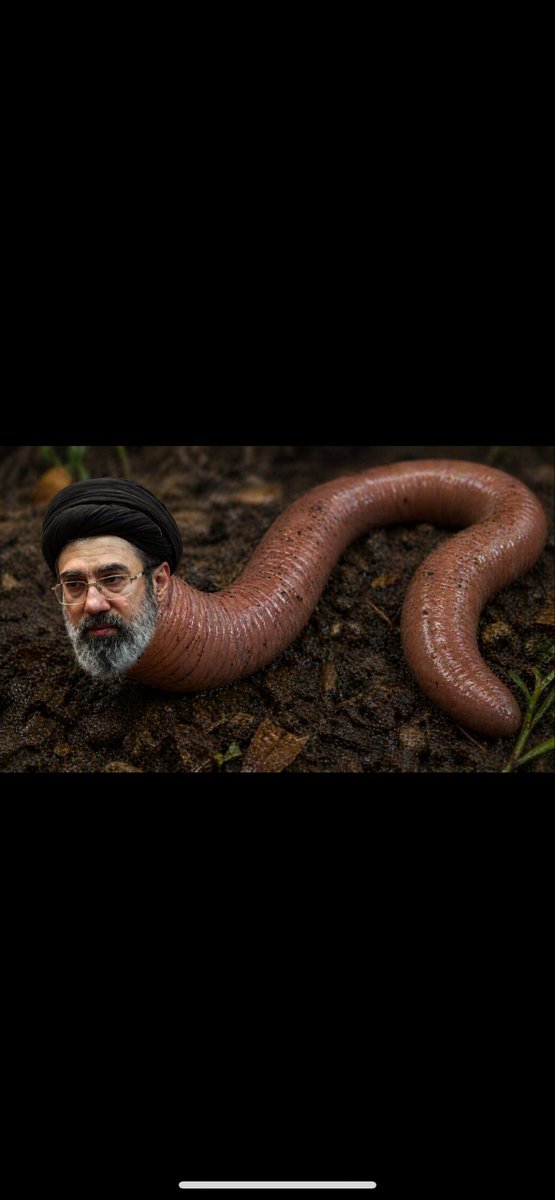 هادی صداقت tweet media