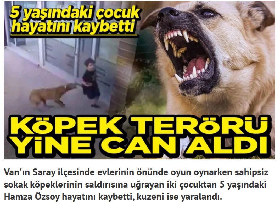 EkremUstad tweet media