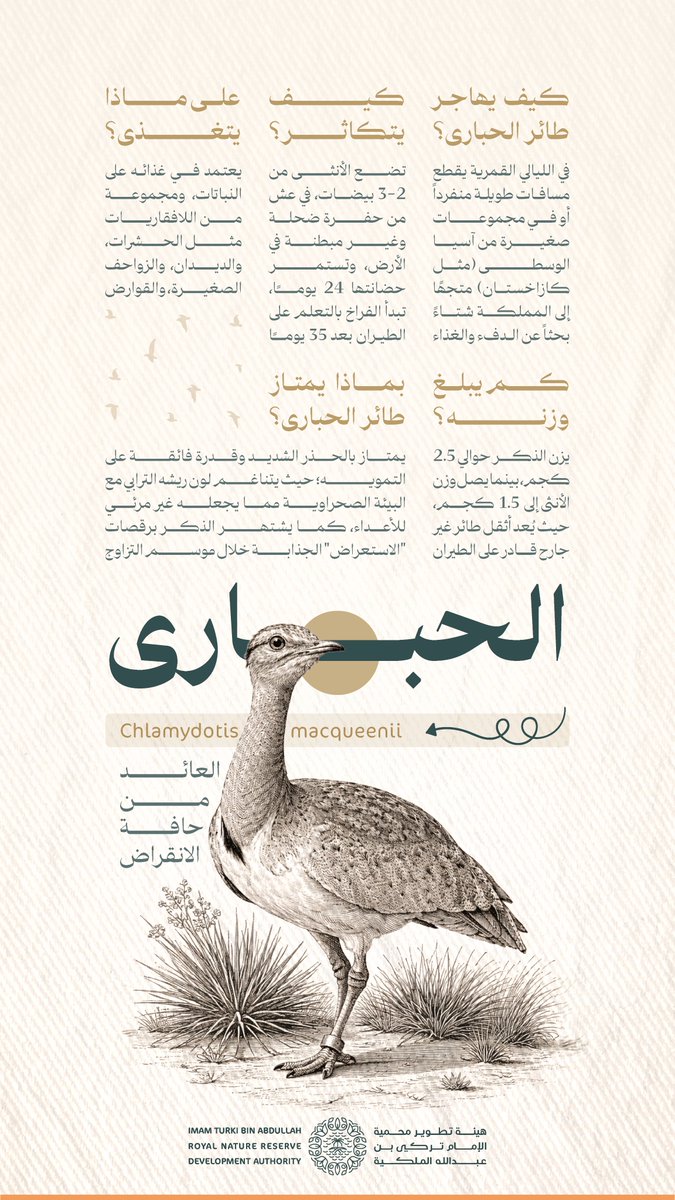 ITBA_SA's tweet photo. بعد غيابٍ طويل.. يعود ليكتب فصلًا جديدًا لسيرة كادت أن تنقرض.

#العائد_من_حافة_الانقراض https://t.co/WxPmNHX7es
