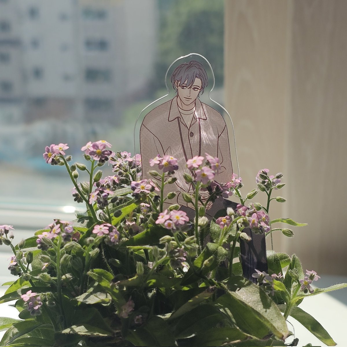 이설(怡雪)🌿 tweet media