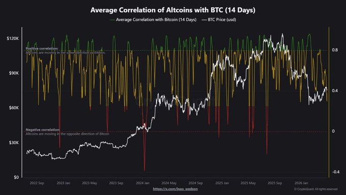 Crypto Tice tweet media