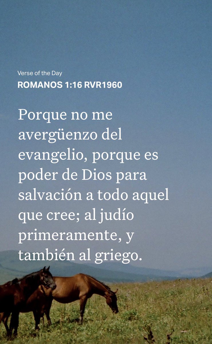 mickeysanchez77's tweet image. #JESUS  #DIOS  #AMOR #Paz  #Esperanza  #Fe  #Sabiduría #Biblia #LaPalabraDeDIOS #Matutina #Amen  #AmenSiVenSeñorJESUS #CiertamenteVengoEnBreve