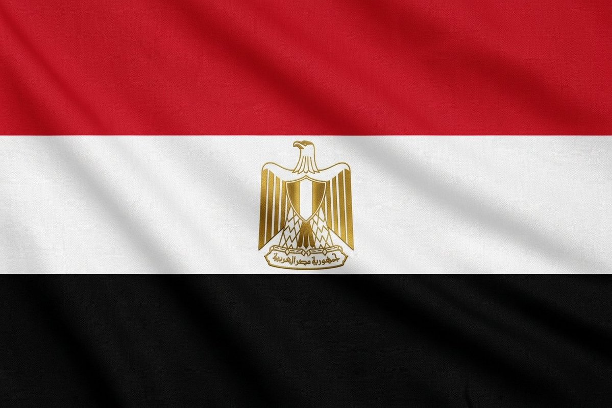 إيڤان | Evan tweet media
