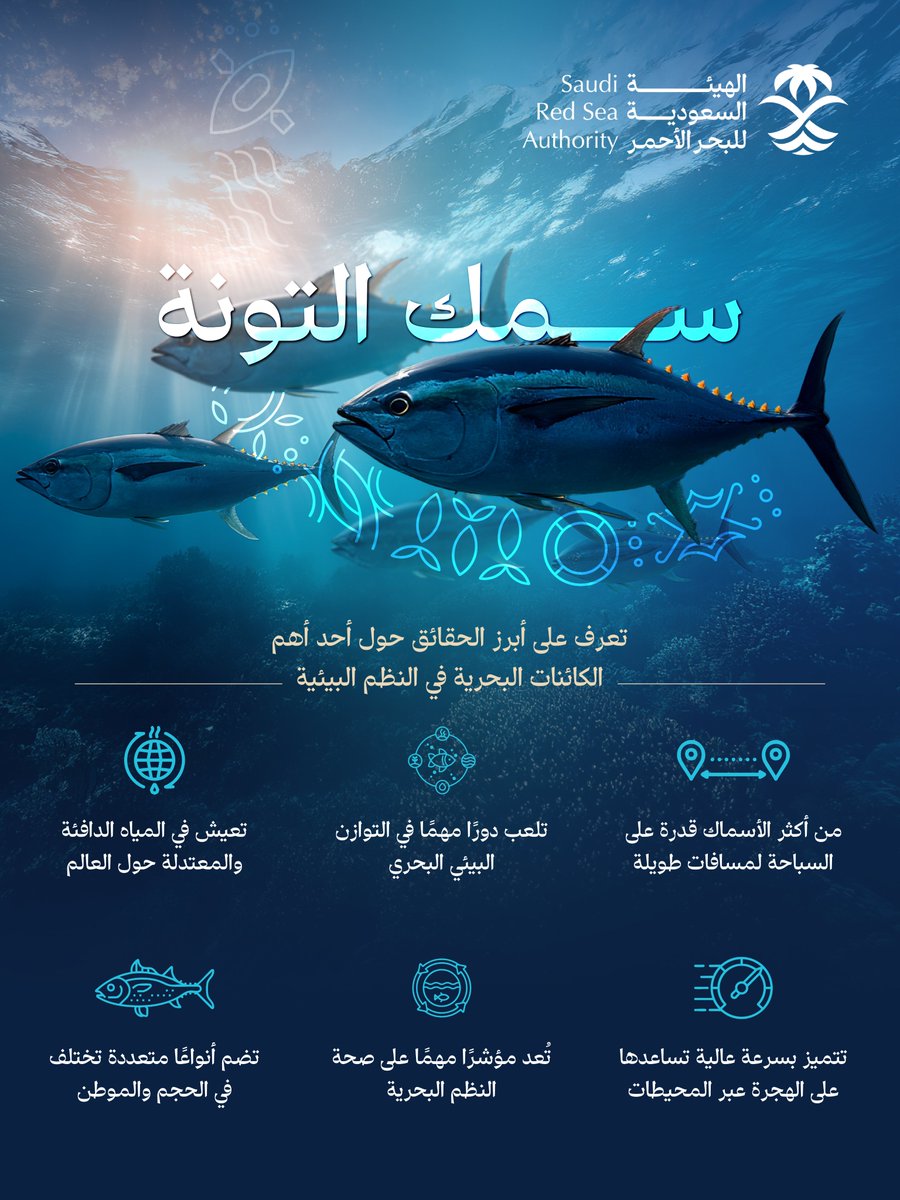RedSeaSaudi's tweet photo. في #اليوم_العالمي_لسمك_التونة نسلّط الضوء على أحد أبرز الكائنات البحرية التي تلعب دورًا مهمًا في التوازن البيئي، وتُجسد أهمية التنوع الحيوي في البحار والمحيطات 🐟 https://t.co/ylCcXsydkd