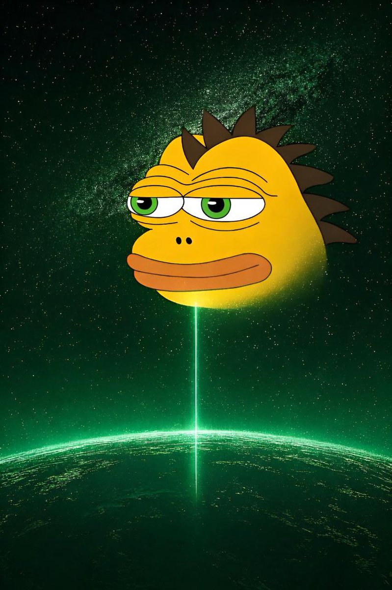 ZAPKO tweet media