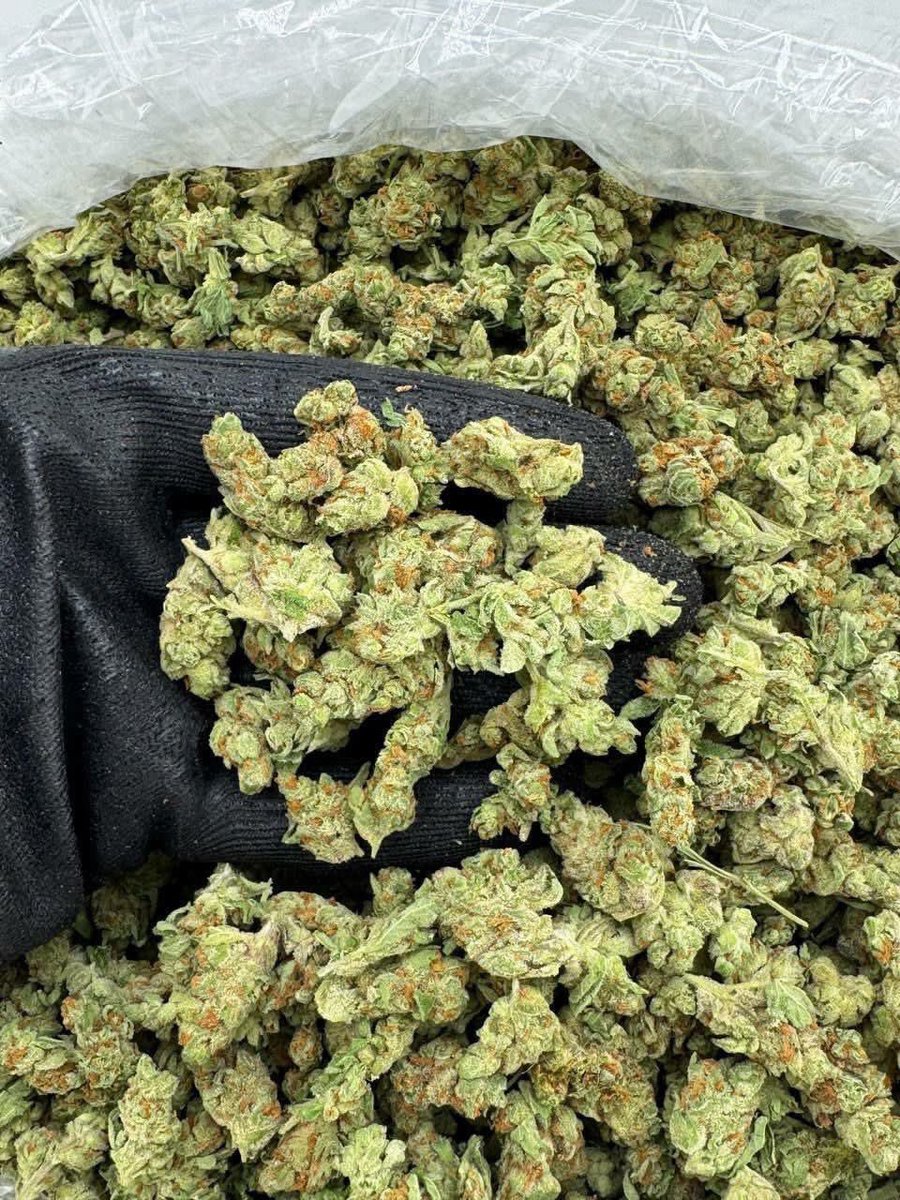 Georgiabuds's tweet photo. Weed Bakuriani, Weed Vardzia (cave city), Weed Rabati Castle, Weed Akhaltsikhe, Weed Signagi, Weed Sighnaghi, Weed Telavi, Weed Alaverdi Monastery, Weed Tusheti, Weed Omalo, Weed Lagodekhi National Park, Weed David Gareja Monastery, Weed Uplistsikhe https://t.co/2zvtyNoyAd