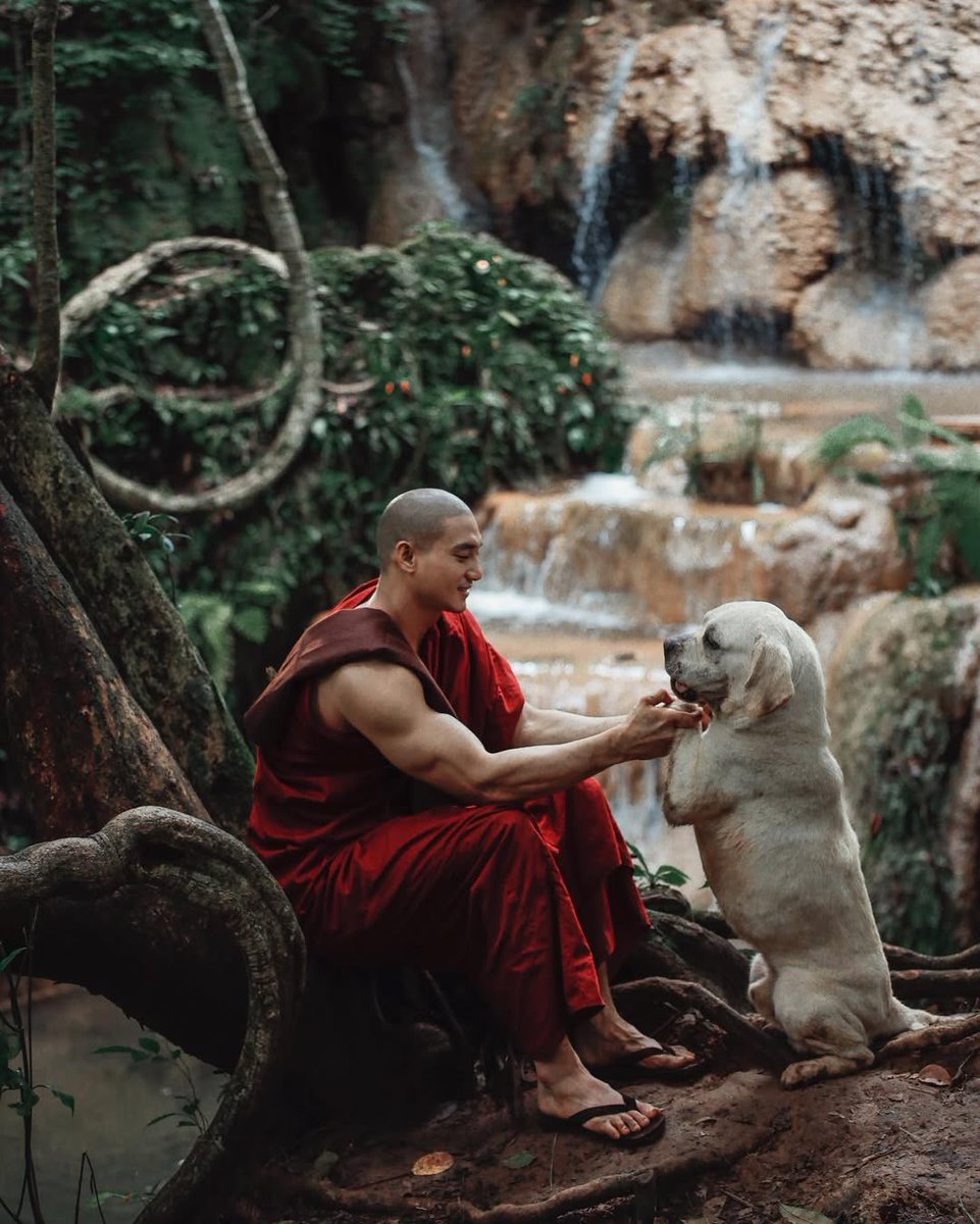 like this is also adult aang for ME… 
Katara dont miss Aang out of your sight bc that man can get it! Like those arms mama