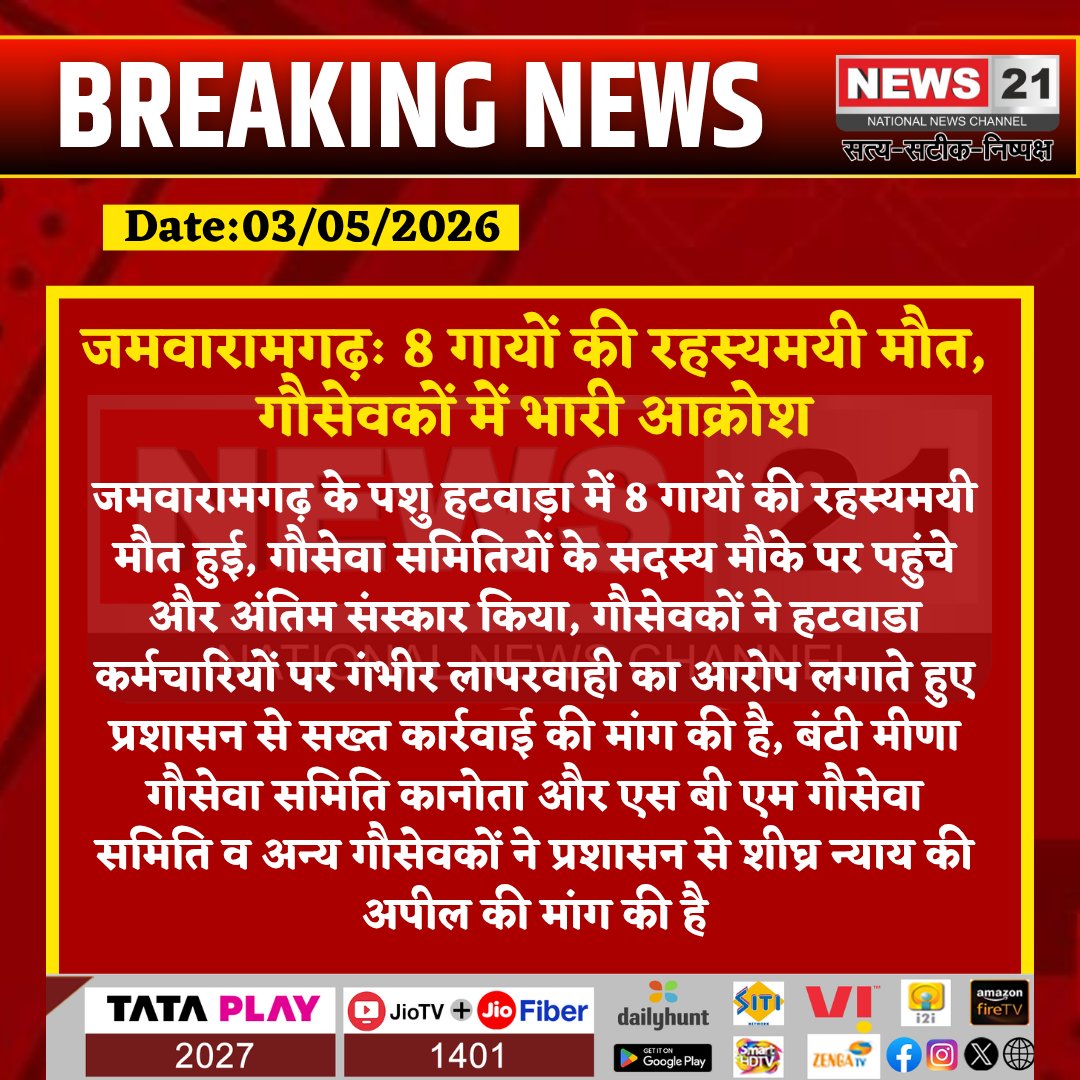 news21national's tweet image. #JamwaRamgarh: जमवारामगढ़ में आठ गायों की रहस्यमयी मौत से आक्रोश
#News21National
 #Jaipur #Rajasthan #CowDeath #GauSeva #RajasthanNews #LocalNews #BreakingNews
@PoliceRajasthan  @DistrictJaipur  @DIPRRajasthan