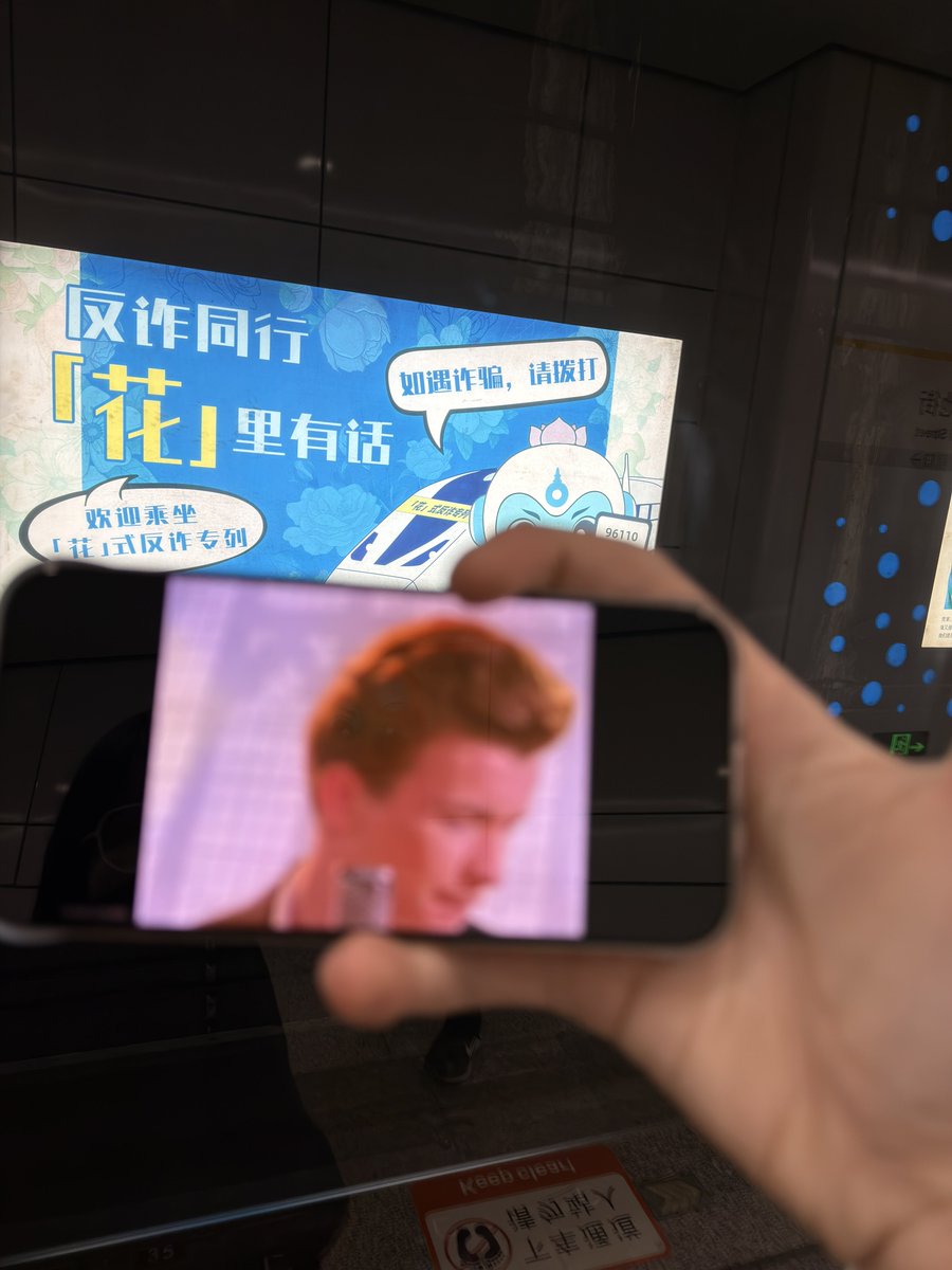 九鸟 tweet media