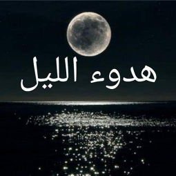 مدام هاله tweet media