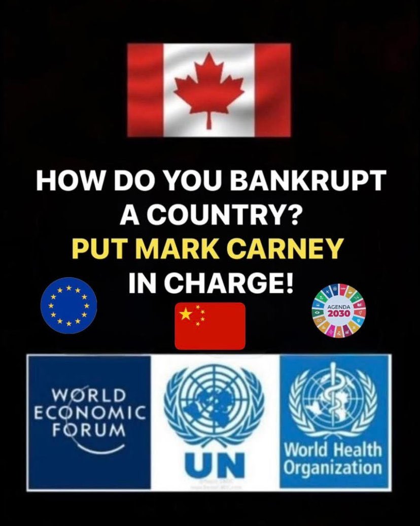 Sharon Tracy…🇨🇦🇨🇦🇨🇦 🇬🇧🇬🇧🇺🇸🇺🇸 tweet media