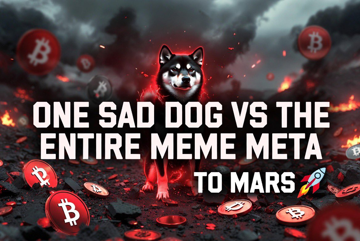 YungTrashPanda's tweet image. Buy before anyone knows 
I don’t stop working on this coin until it becomes something 

#solana #crypto #elonmusk