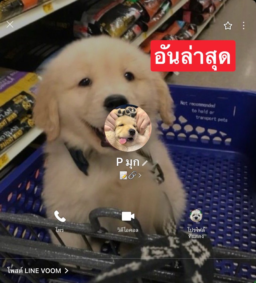 คยอง tweet media