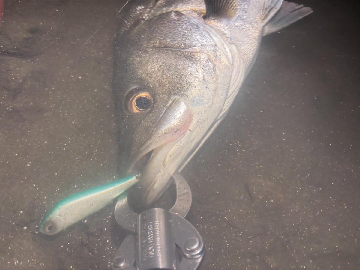Muto tweet media