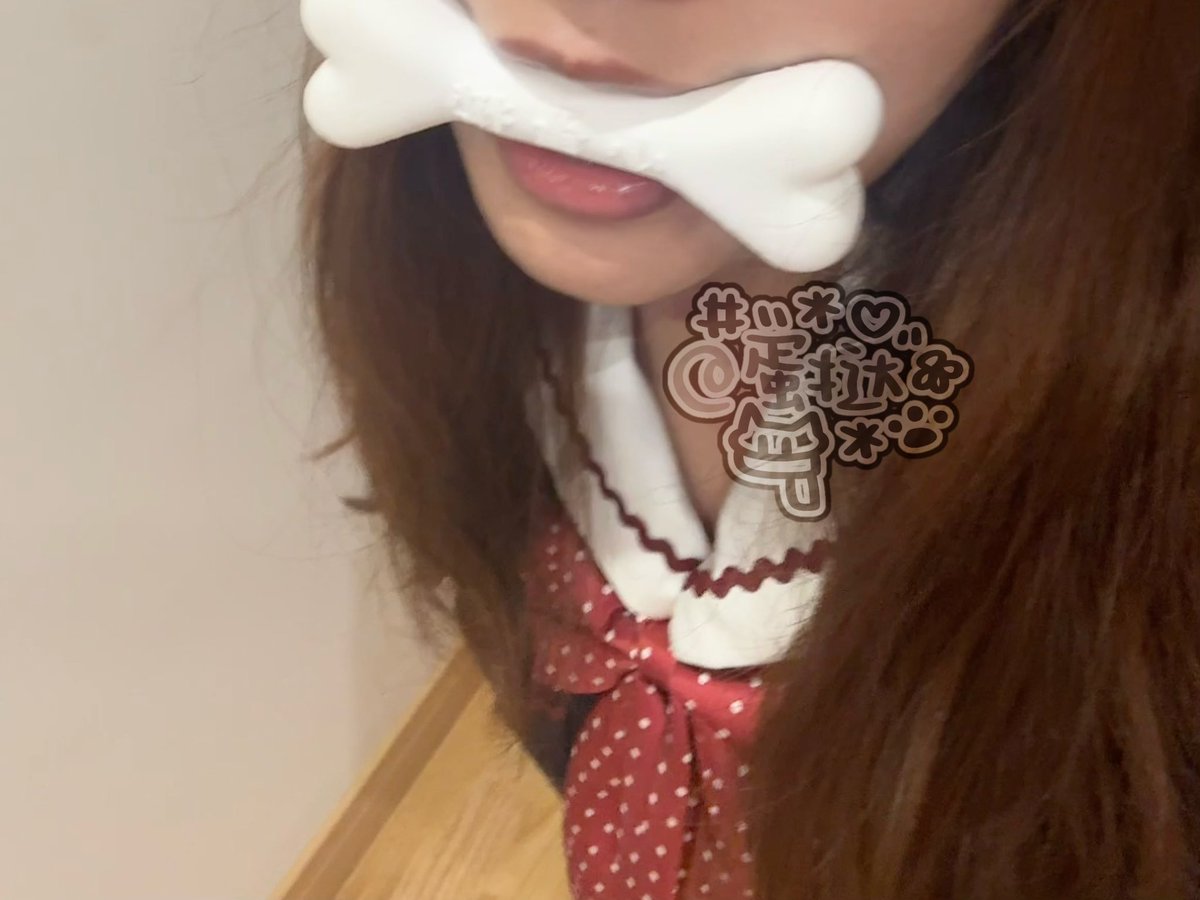 suqi526626's tweet image. 这个不要 那个不要 那这么可爱的蛋挞你要不要o(≧v≦)o #小狗日记 #puppy