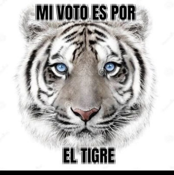 Antonio Jaramillo Taborda tweet media