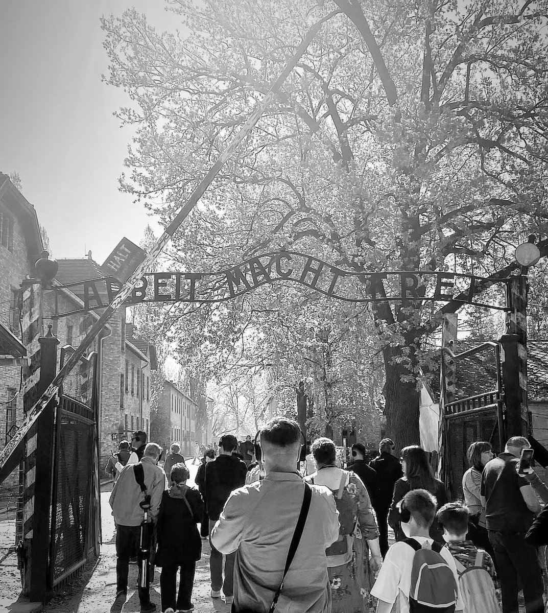 Auschwitz Memorial tweet media