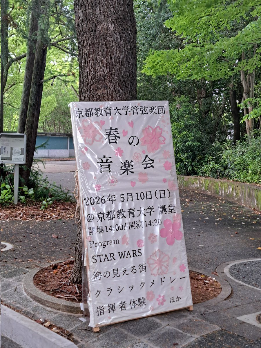 MKurano0824's tweet photo. 京都教育大学では指揮法の講師としての立場と、管弦楽団への客演指揮者としての立場がある。どちらも半世紀近く続けてお引き受けしているので、今や僕の音楽活動の「かけがえのないホームグラウンド」となっている。
​大学も、そこで学ぶ学生さんも、卒業生もみんな大好きだ。家族であり、親友であり、時に実の子供のような存在の彼らが、永きにわたって僕を受け入れ、リスペクトしてくれる。そのことがどれほど幸せで、ありがたいことか。
​この幸せな関係が、死ぬまで続けばいいのになあと思う。
​奈々ちゃんのDesignによる 57th Reg.のFlyer 完成です！素敵でしょう？
手作りの｢春音｣の看板もご紹介。今年も彼らと共に、精一杯の音楽を。