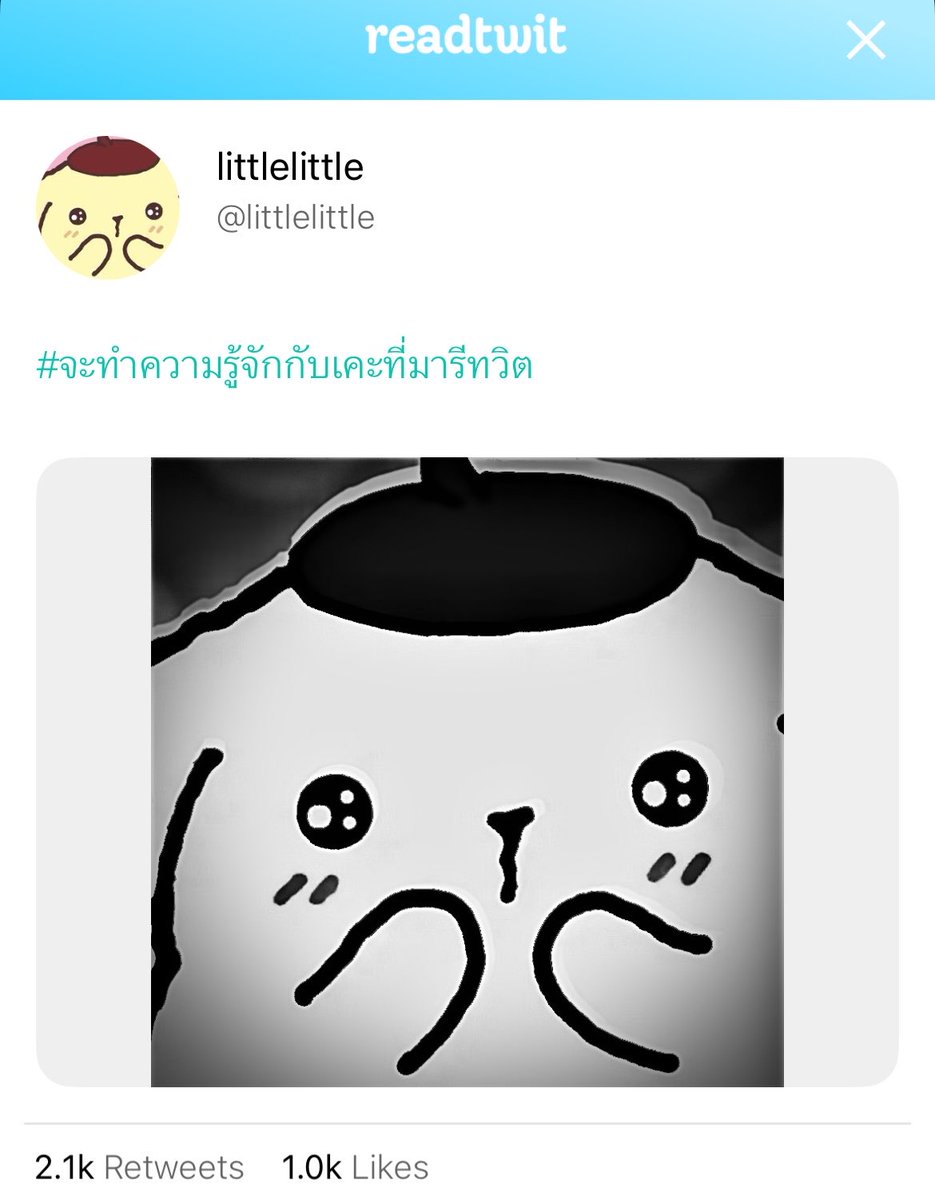 cool cat tweet media
