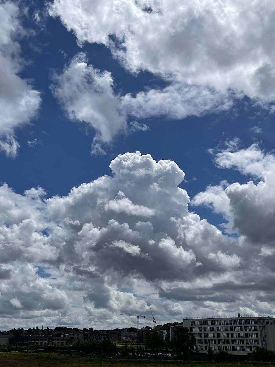 theeyesofawalsh's tweet image. Clear day #clouds #sky #photograph #photography #earth #world