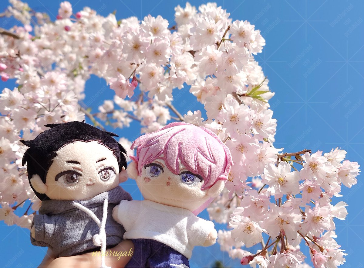 nirarugak's tweet photo. ࣪
嵐 × ハナメ × 🌸.˚
ちいさないのち可愛い♡
#dearsignal
#末広マチ 先生♡ @suemachiii https://t.co/iJfVCANqKk