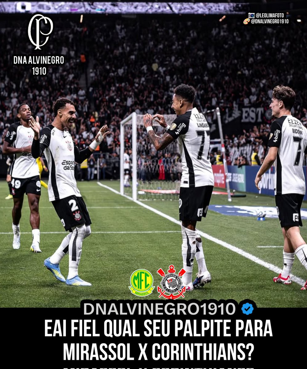 Dna Alvinegro 1910 tweet media