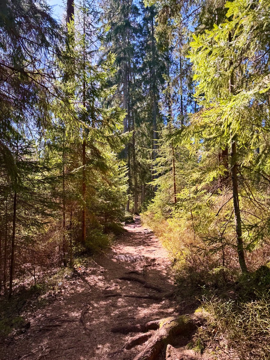 Heidi Kajan tweet media