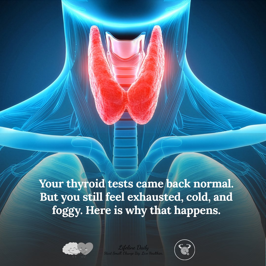 LifelineDaily's tweet photo. Normal thyroid results don't always mean your thyroid is working properly.

A group of chemicals called PFAS — found in non-stick cookware, water-resistant clothing, and food packaging — can interfere with how thyroid hormones move through your body. Not by damaging your thyroid. By blocking the signals it sends.

Your thyroid produces two hormones, T3 and T4, that travel through the bloodstream on transport proteins. PFAS compete for space on those same proteins. When they win, T3 and T4 can't reach the tissues that need them.

The result looks exactly like an underactive thyroid — fatigue, weight gain, feeling cold, brain fog, low mood — but often doesn't show on a standard blood test. The hormones are being made. They're just not getting through.

If those symptoms are familiar and your tests have come back clear, PFAS exposure is a conversation worth having with your doctor.

 #LifelineDaily #thyroidhealth #hormonehealth