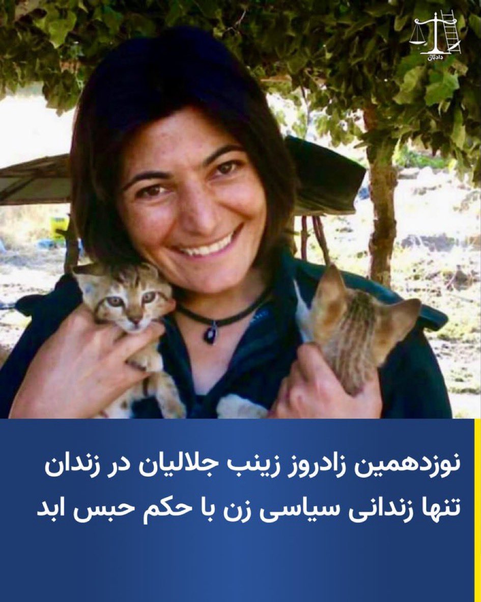 Nick Sotoudeh tweet media