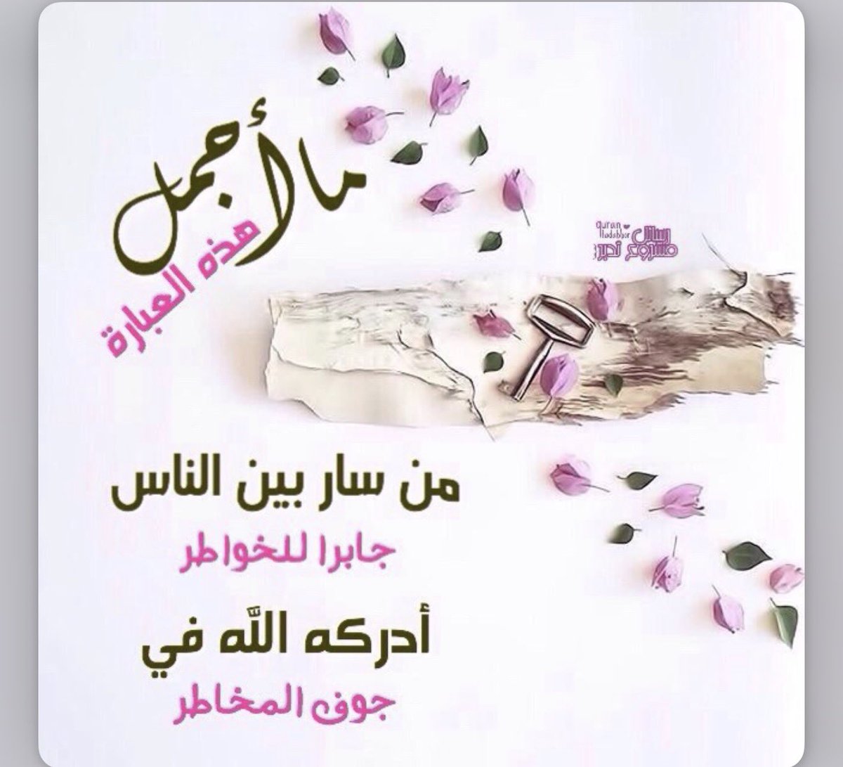 ام وسام tweet media