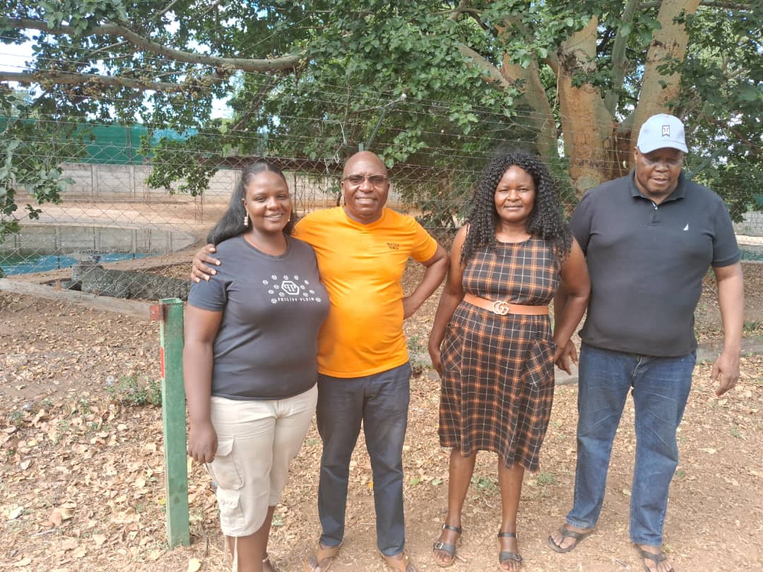 Jacob Ngarivhume tweet media