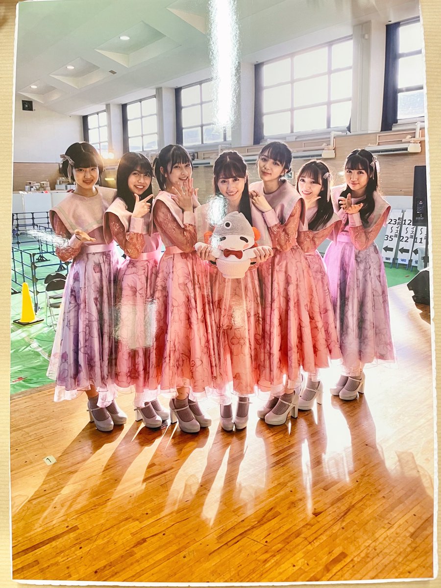 Newトミー no-012 tweet media