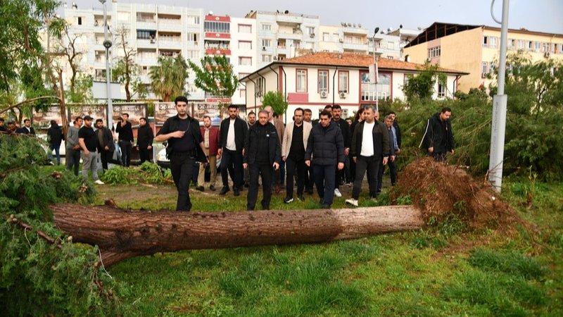 Urfa ajans ay tweet media