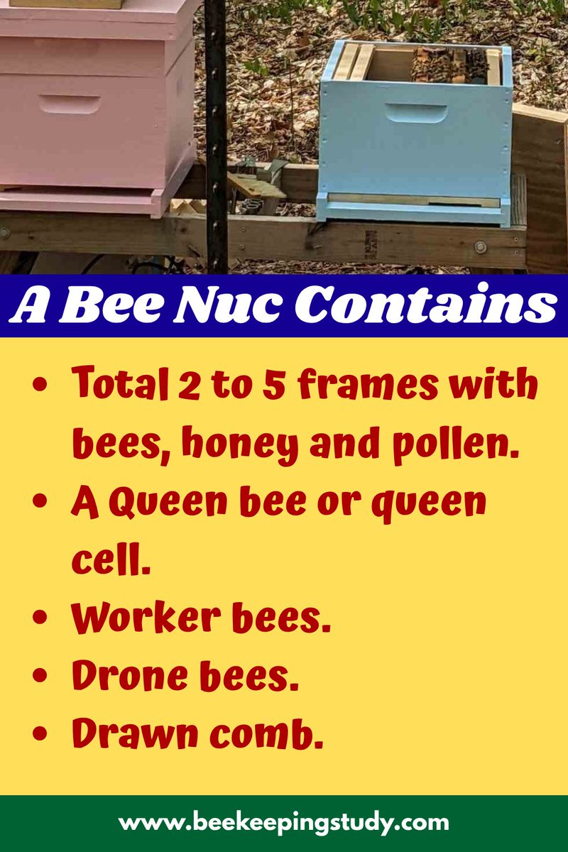 BeeKeepingStudy's tweet photo. A bee nuc is an important tool for beekeeping. It contains several things. https://t.co/konUAnDxyv