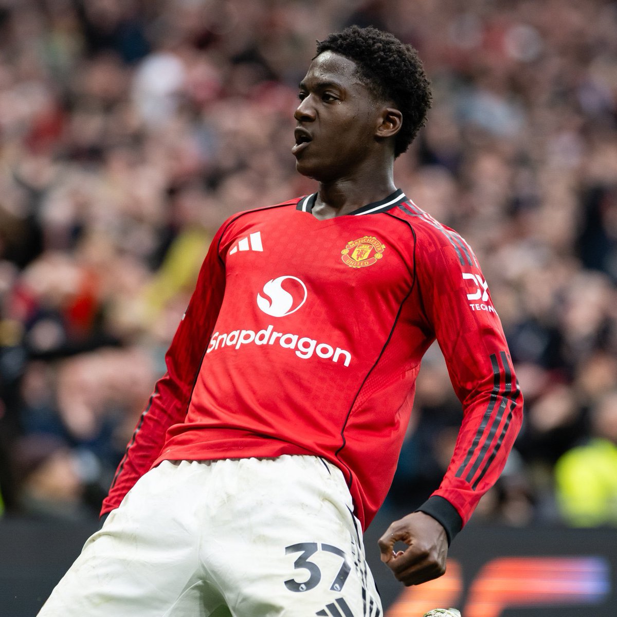 (fan) Frank 🧠🇾🇪 tweet media