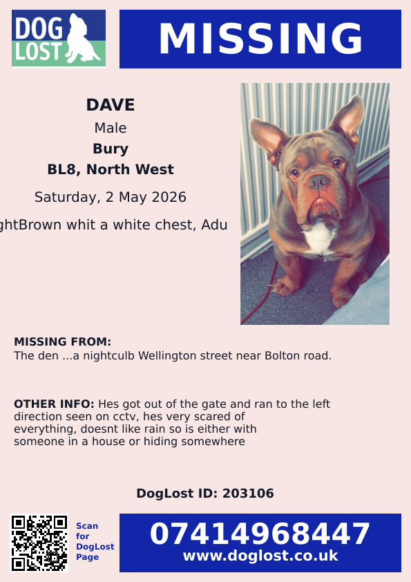 millypod1's tweet photo. 🆘2 MAY 2026 #Lost Dave #ScanMe
Bull Dog Male
The Den ...a nightclub, Wellington Street nr Bolton Road #BL8 County #Bury #Lancashire #GreaterManchester
https://t.co/qBSztiv2Ub https://t.co/wWeSbYTIUU