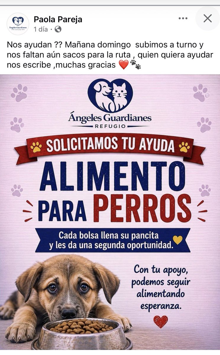 Jordi tweet media
