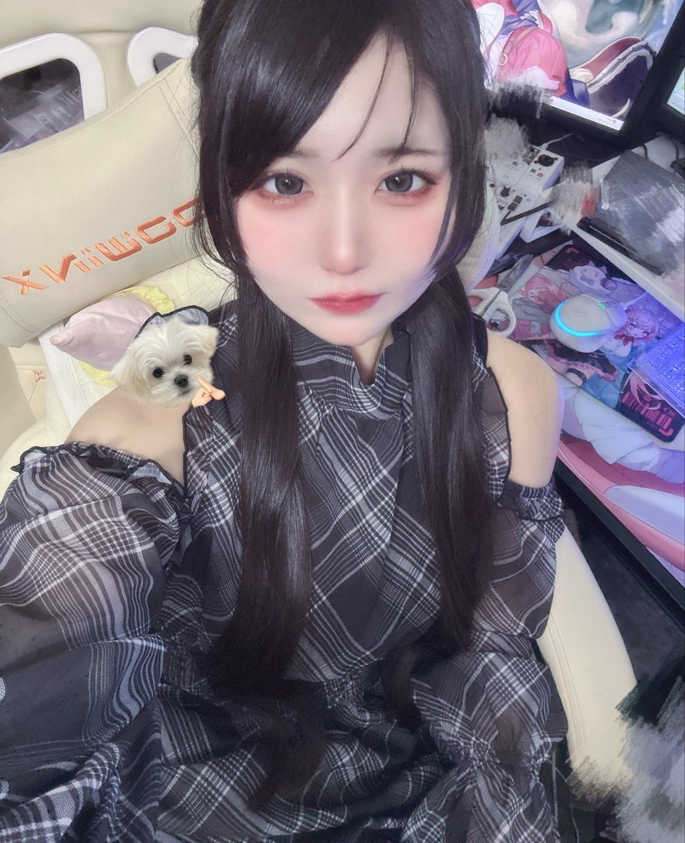 林檎🍎 tweet media