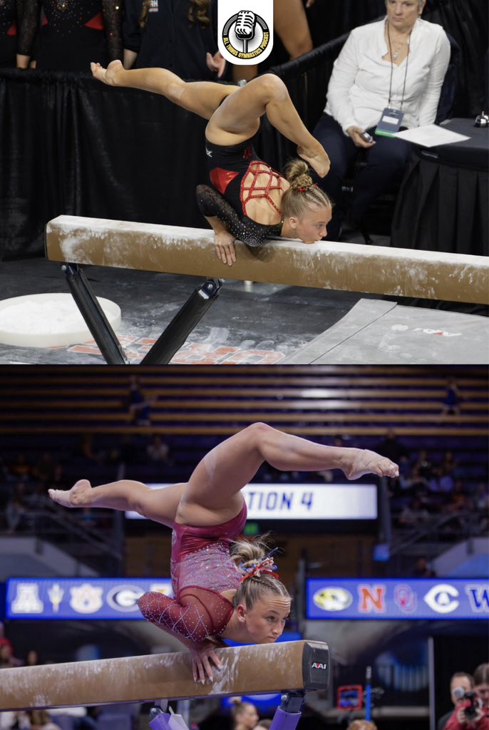 All Things Gymnastics Podcast tweet media