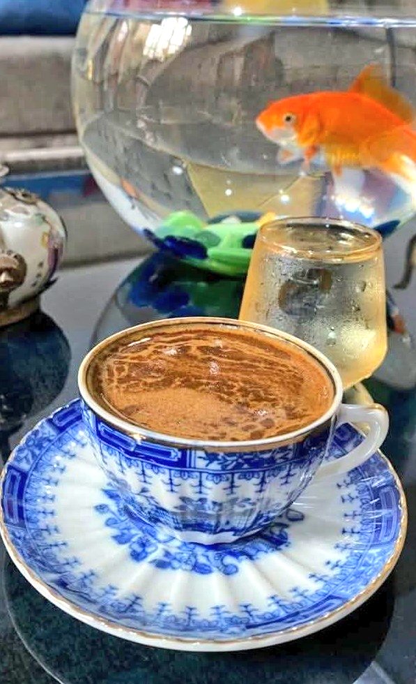 روز روز ⁦⁦⁦ ☕‏❉্᭄͜͡↫__ 🌼 ོ tweet media